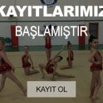 kayitlar